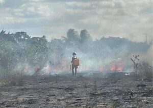 bombeiros-combatem-incendio-em-vegetacao-proxima-a-tubulacoes-da-petrobras