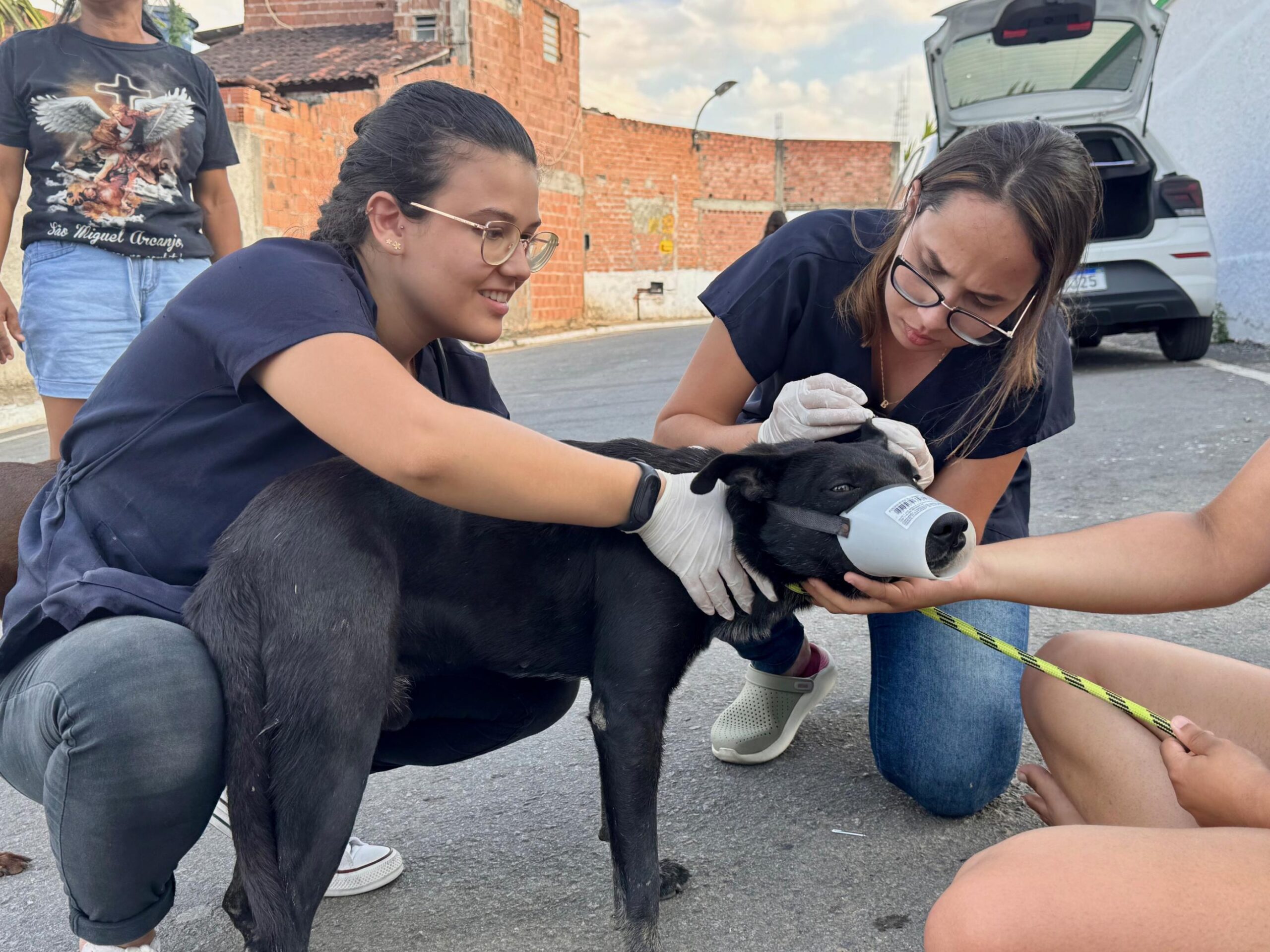 lei-estadual-que-garante-protecao-e-o-bem-estar-dos-animais-ja-esta-em-vigor