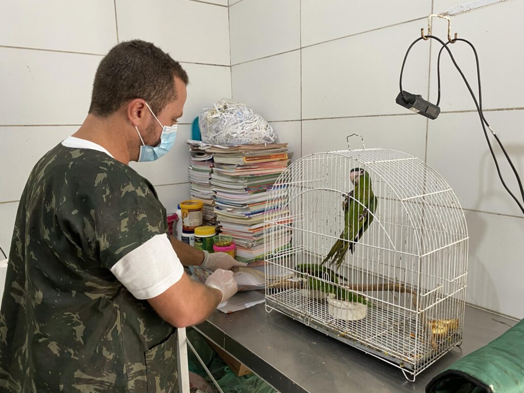 ima-arrecada-mais-de-200-kg-de-doacoes-para-o-cuidado-de-animais-silvestres-resgatados