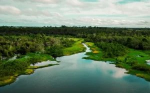 area-de-protecao-no-para-tera-trilha-ecologica-e-turismo-de-base-comunitaria-1