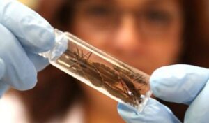 barbeiro-1-2025-04-16-124030-dle