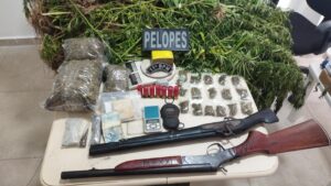 pm-descobre-plantacao-de-maconha-e-prende-suspeito-armado-em-penedo