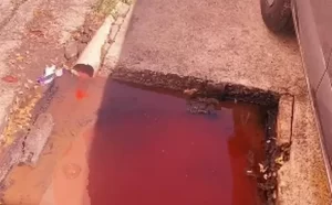 screenshot-2025-04-10-at-09-52-30-instagram