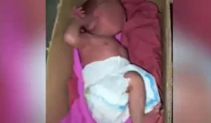 whatsapp-image-2025-04-14-at-121636