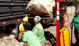 whatsappimage20250326at163758