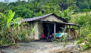 6f82458b-f1d8-4475-a1ca-7269d764e12f