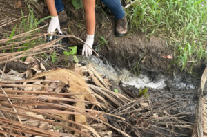 cfe2f390-e888-4488-aa59-06c5645f8147