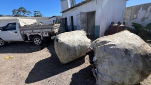 hospital-ib-gatto-falcao-desenvolve-projeto-de-reciclagem-de-material-descartavel