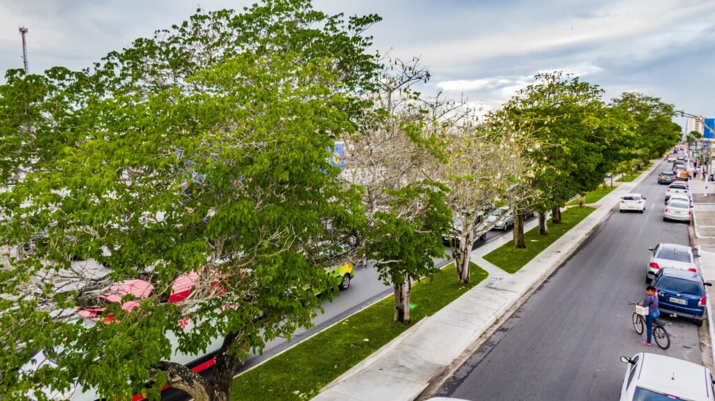 df83e8d7-ef3b-4800-8c41-6488ef15e535