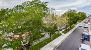 df83e8d7-ef3b-4800-8c41-6488ef15e535