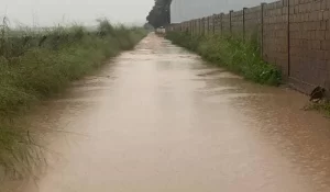 imagem-do-whatsapp-de-2025-06-14-as-032541-9339e6af