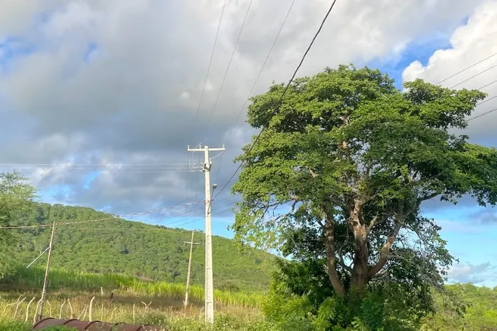 rs=w_697,h_465,i_true,cg_true,ft_cover