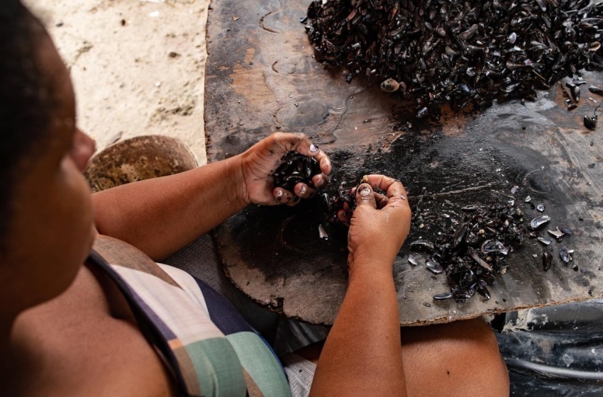 81878728-215c-4e99-85f4-5f648f74e899