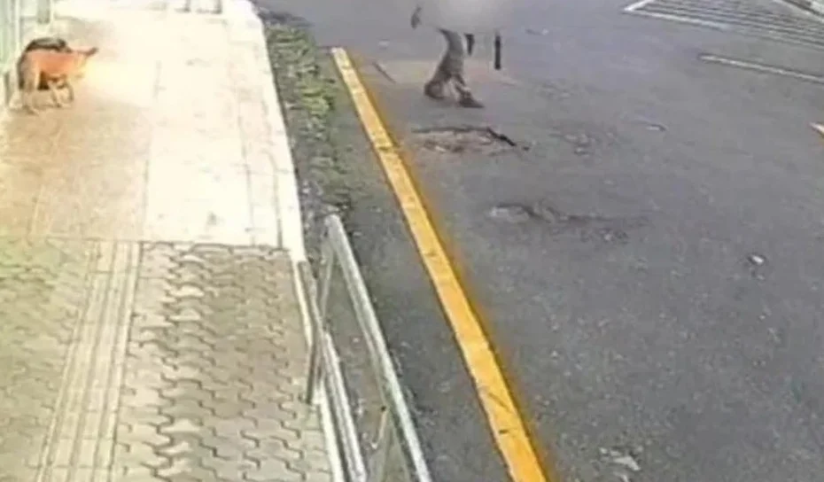 88383612-204f-4b32-a399-af89c297c4d5