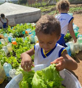 efbd2a7a-e0e3-47fa-9812-0dc67c556695