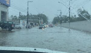 fe545489-1189-466c-a55b-81d25037afa7