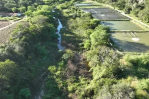 rs=w_697,h_465,i_true,cg_true,ft_cover - 2025-08-26T152020.885