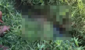 whatsapp-image-2025-08-12-at-104847