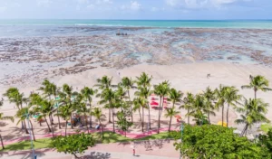 06-06-24-ponta-verde-praia-com-mare-zero-semtur-foto-itawi-albuquerque-2 (1)