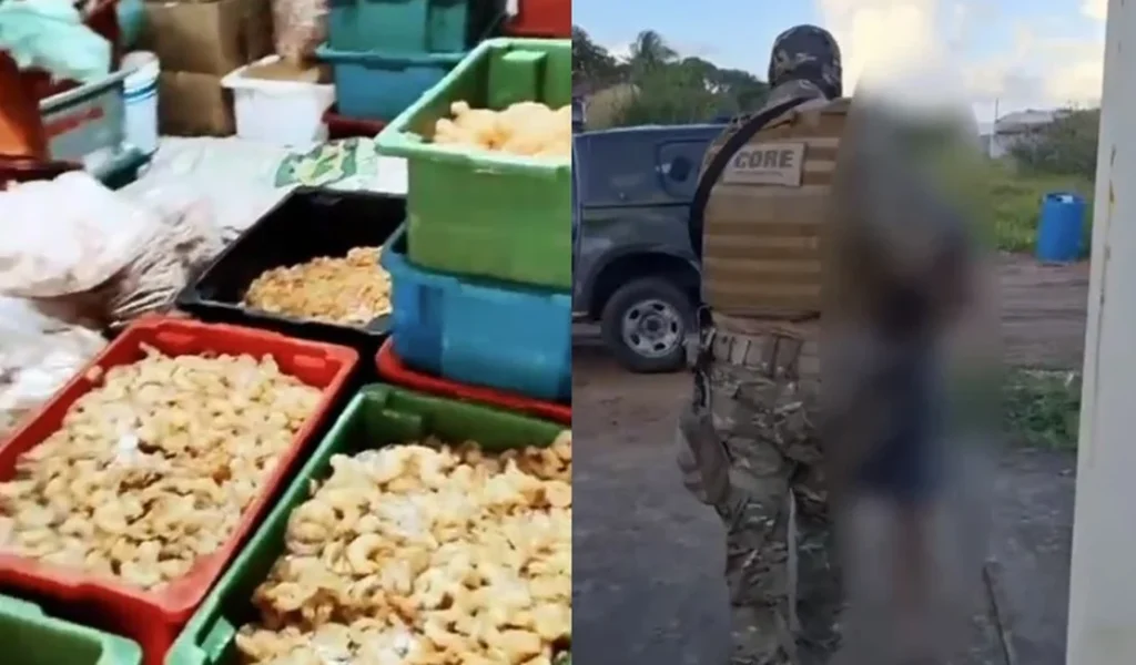 4d699af9-ad7c-4037-beda-cd0cce3c8558