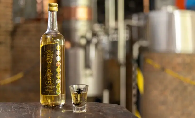 Gogo-da-Ema-Thiago-Sampaio00001-scaled_p10938_cover_image_resized