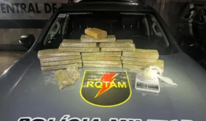 pm-apreende-quase-15-quilos-de-drogas-no-bairro-da-levada