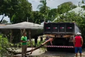 rs=w_697,h_465,i_true,cg_true,ft_cover - 2025-10-13T142630.952