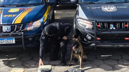 screenshot-2025-10-06-at-16-13-34-2-whatsa