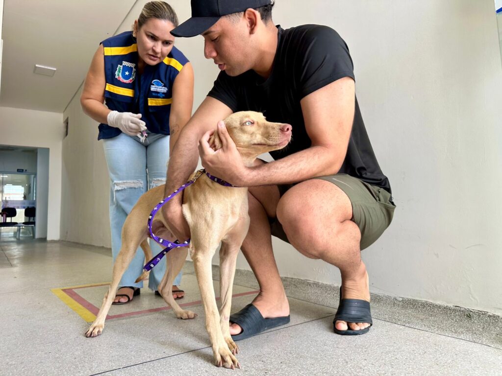 17e9ffa7-77b3-4c3c-b988-3790761114b5