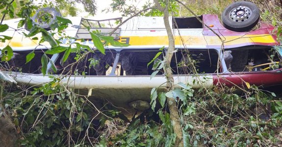 ada2672b-9928-48b6-b4e3-4095ae7e8acejpeg.crdownload (1)