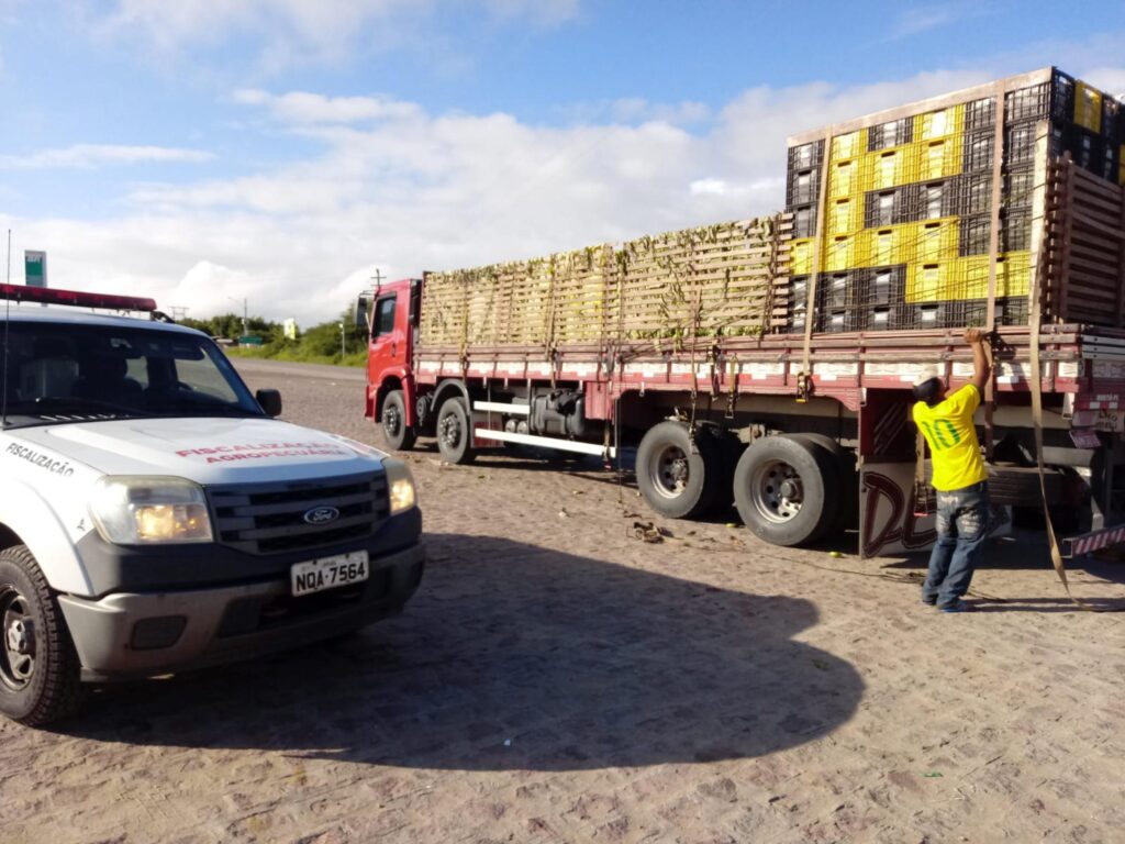 adeal-passa-a-emitir-permissao-de-transito-vegetal-eletronica