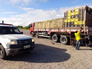 adeal-passa-a-emitir-permissao-de-transito-vegetal-eletronica