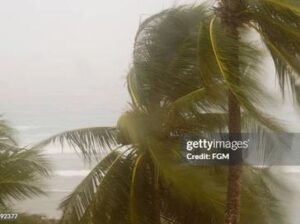 rs=w_364,h_272,i_true,cg_true,ft_cover (79)