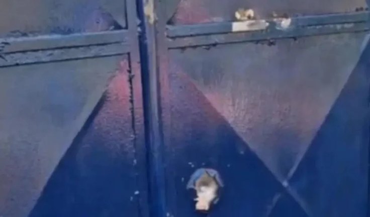 whatsapp-image-2025-11-10-at-141529