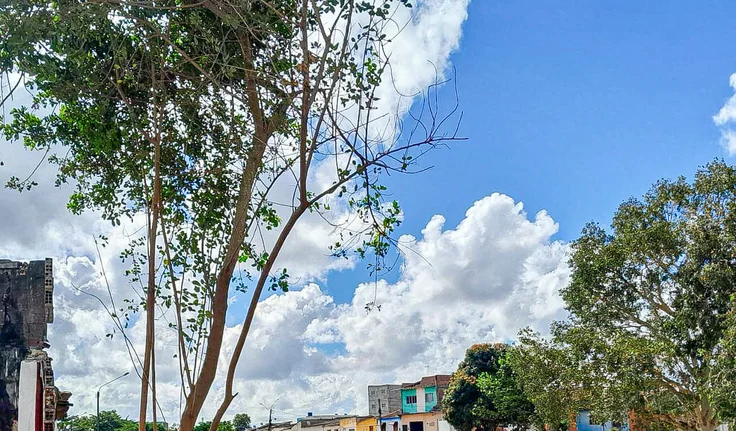 whatsapp-image-2025-11-11-at-151304