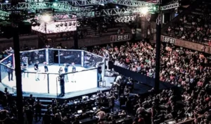 whatsapp-image-2025-11-12-at-145446