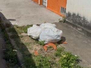 rs=w_364,h_272,i_true,cg_true,ft_cover - 2025-12-01T134147.955