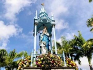 rs=w_364,h_272,i_true,cg_true,ft_cover - 2025-12-08T091303.021