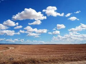 rs=w_364,h_272,i_true,cg_true,ft_cover - 2025-12-12T135930.685