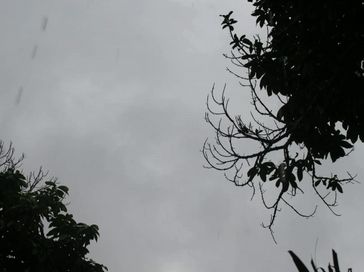 rs=w_364,h_272,i_true,cg_true,ft_cover (65)