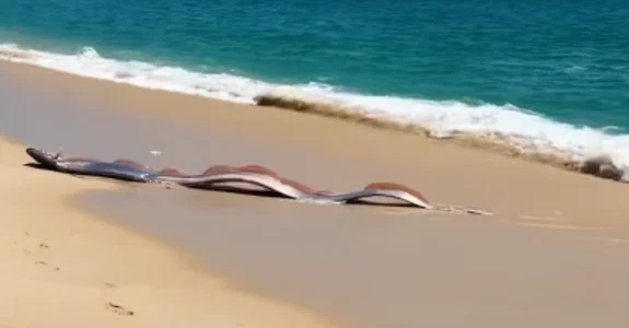 captura-de-tela-2026-03-10-140710