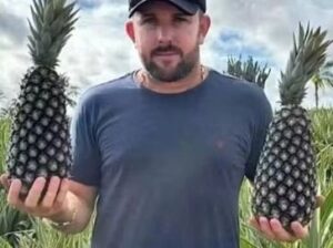 rs=w_364,h_272,i_true,cg_true,ft_cover (26)