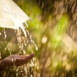 rs=w_364,h_272,i_true,cg_true,ft_cover (50)