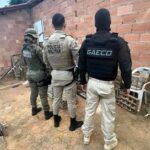 Operação “Ninho de Falcão” revela papel de Alagoas em rota de tráfico de animais silvestres