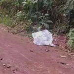Corpo com marcas de tiros é localizado em comunidade rural de Palmeira dos Índios