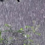 Barra de Santo Antônio lidera acumulado de chuva em Alagoas com 84,8 mm em 24 horas