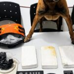 Canil da PM apreende mais de 3 kg de cocaína e prende suspeito de tráfico em Arapiraca