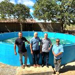 Arapiraca inova com sistema de berçário para impulsionar a produção de camarão